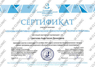 Сертификат «Основы КПТ»